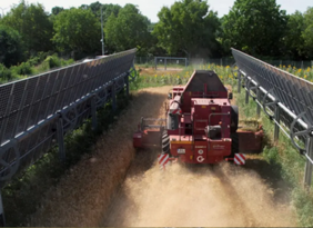 Mähdrescher fährt durch ein Getreidefeld unter senkrecht aufgeständerten Photovoltaikanlagen