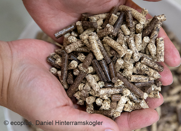 BEST – Bioenergy and Sustainable Technologies