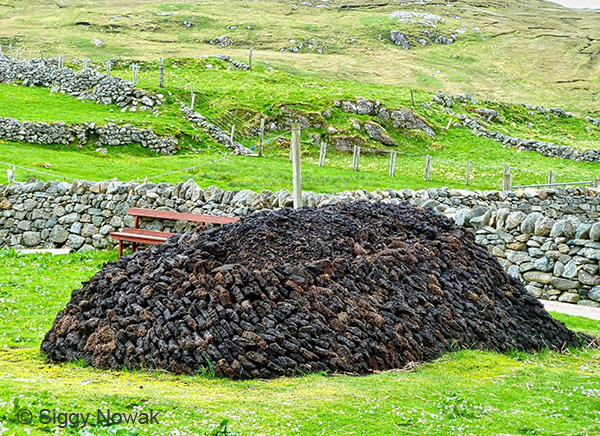 BEST – Bioenergy and Sustainable Technologies